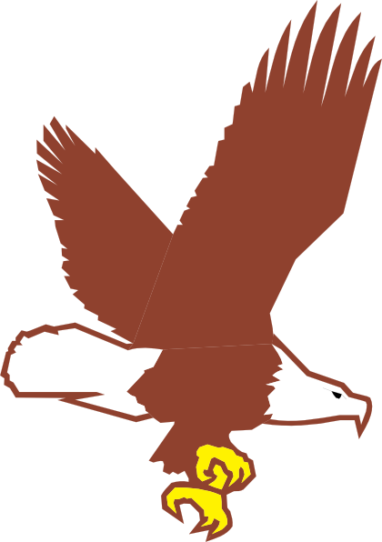 Bald Eagle Flying Clip Art   Animal   Download Vector Clip Art Online