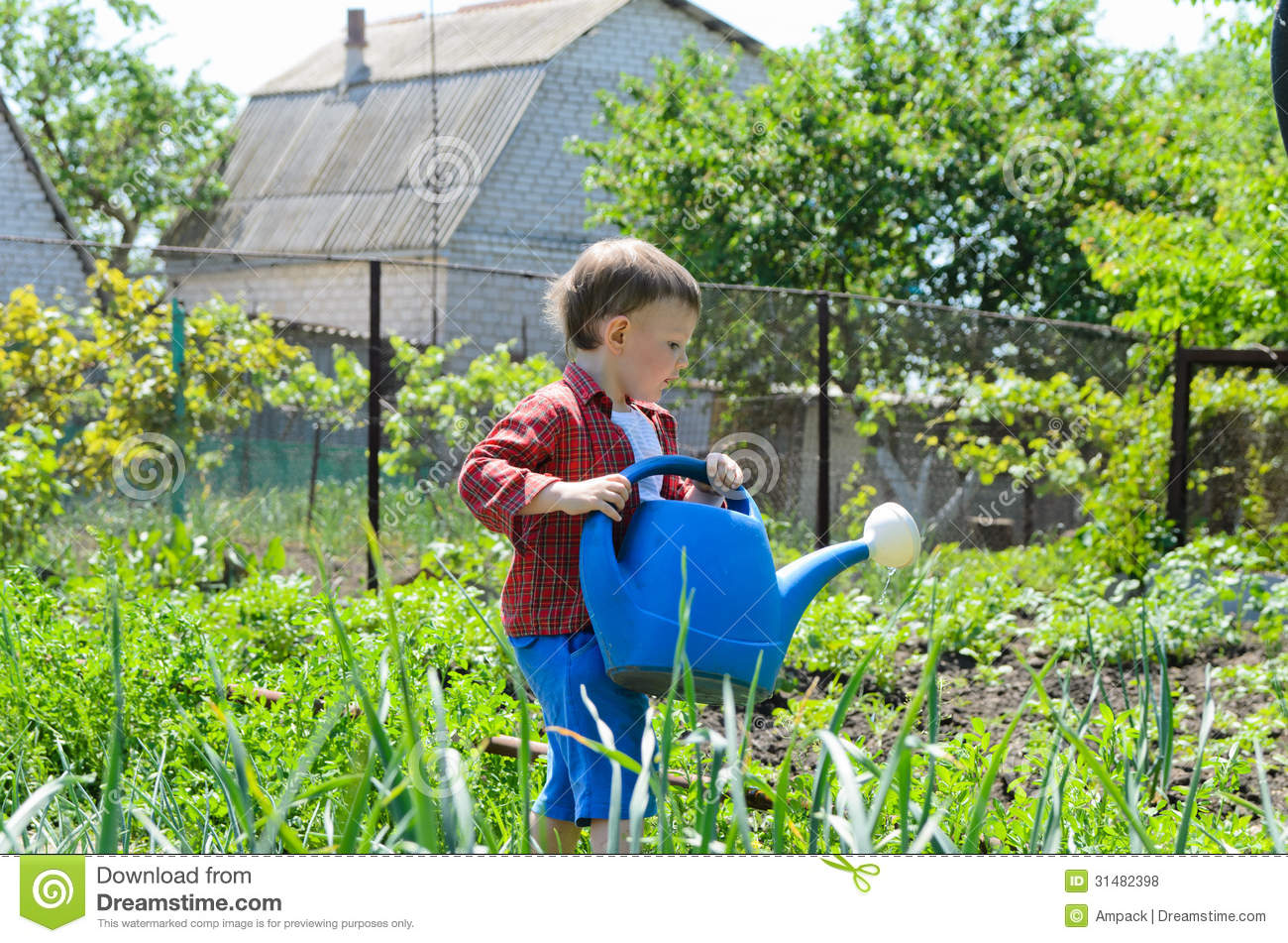 Boy Watering The Vegetables Carrying A Large Blue Plastic Watering    