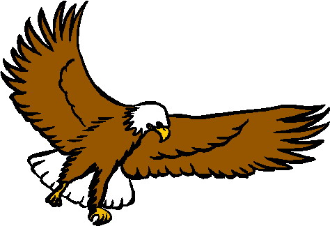 Flying Eagle Clipart   Clipart Best