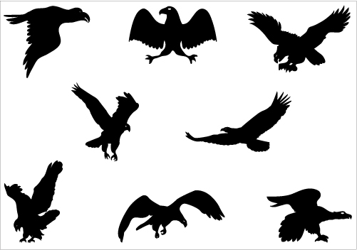 Flying Eagle Silhouette Vector Graphics