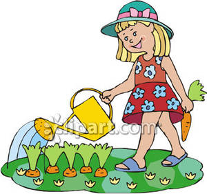     Girl Watering Carrots In A Garden   Royalty Free Clipart Picture