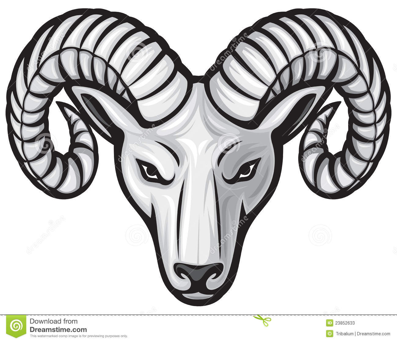 Head Of The Ram White Ram