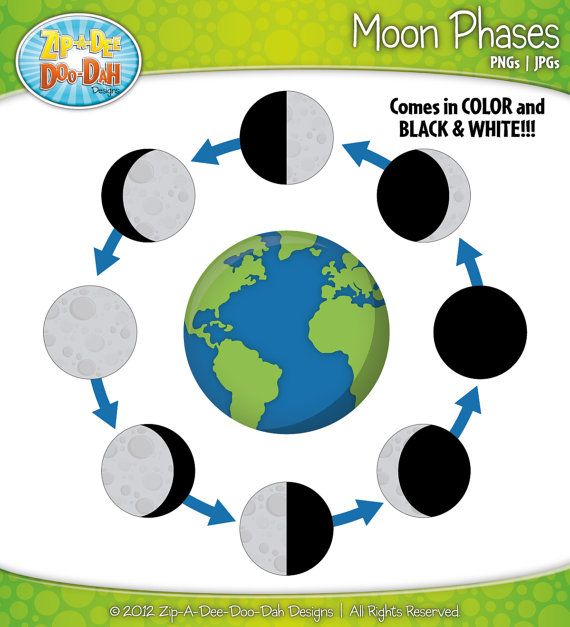 Moon Phases Clipart Set   Includes 21 Graphics For Moon Calendar