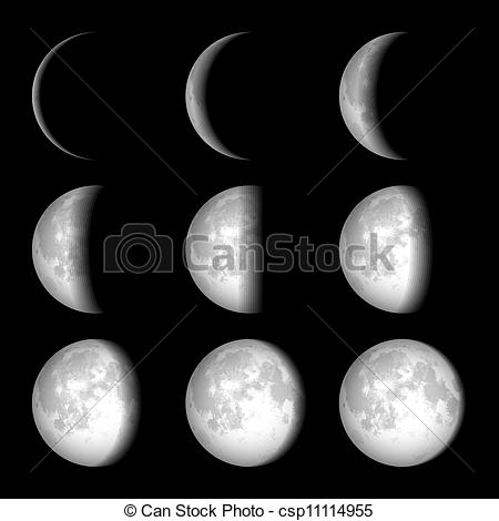 Moon Phases Vector Illustration