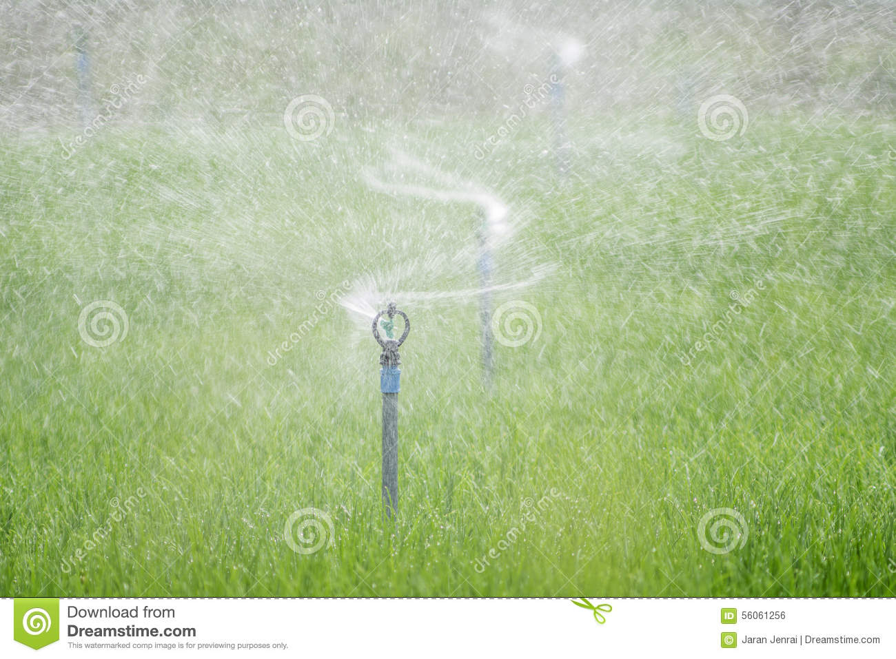     Plan  Sprinkler Watering Vegetables Needed As Their Labor