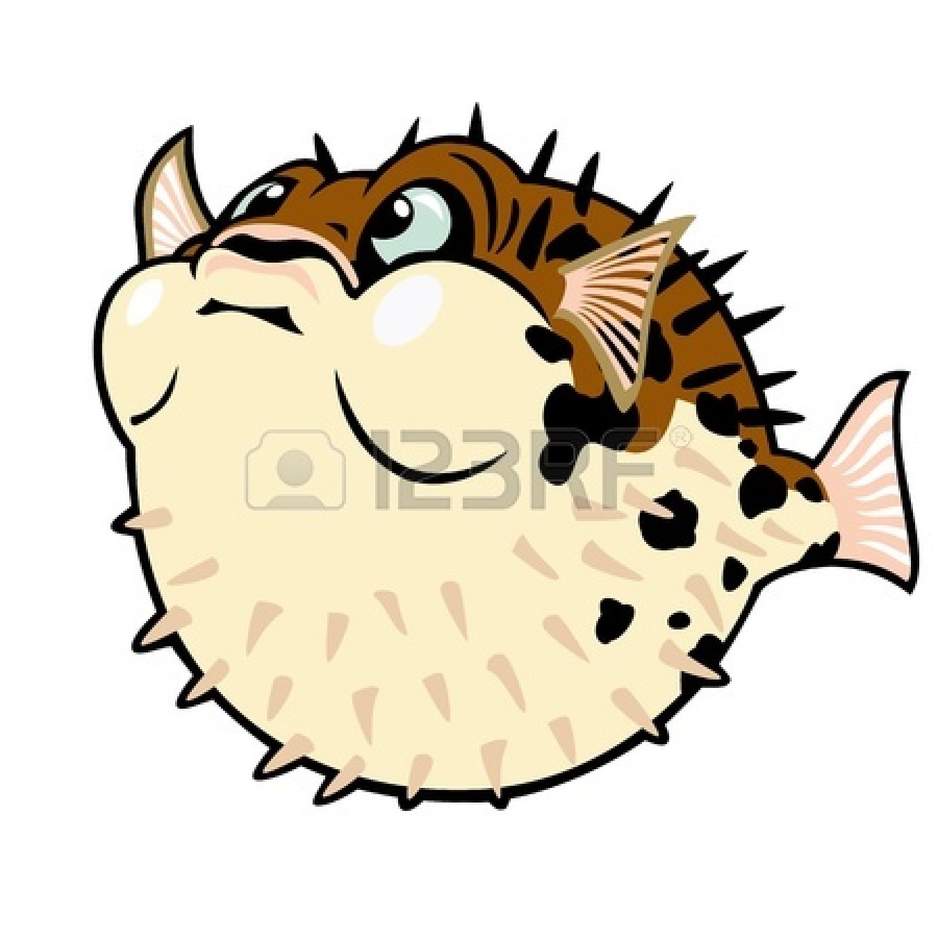 Puffer Fish   Puffer Fish