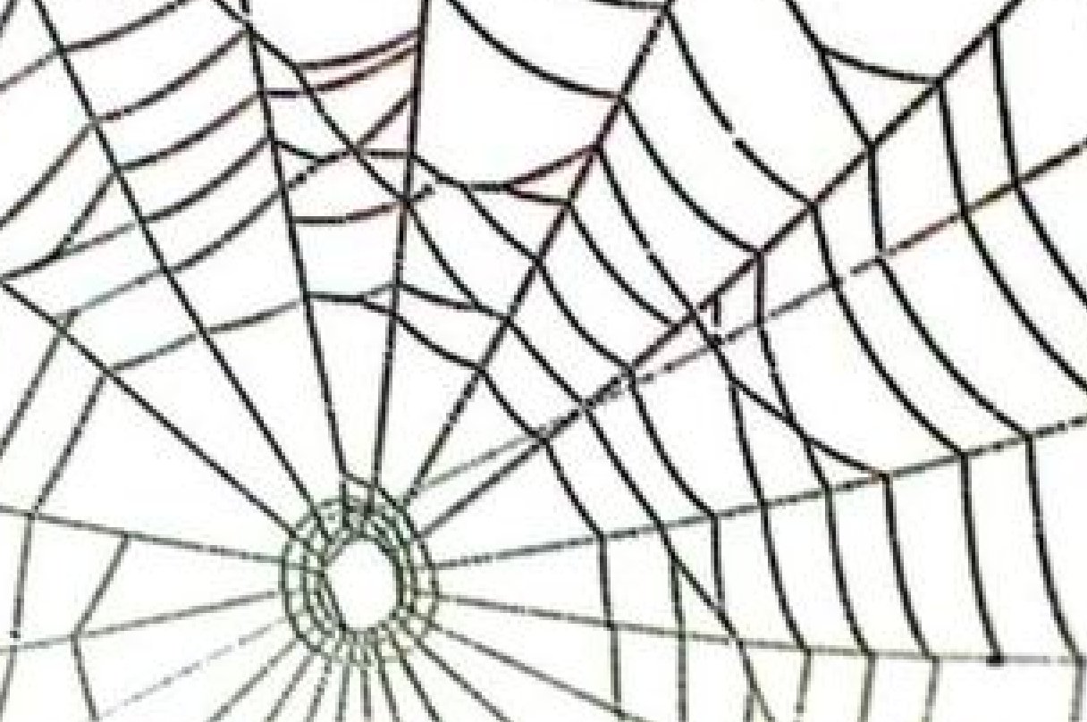 There Is 40 Corner Spider Web   Free Cliparts All Used For Free