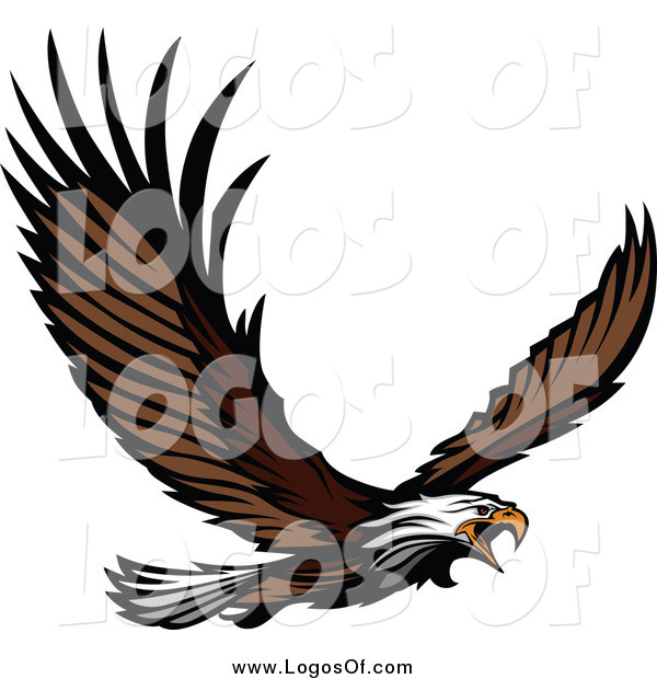Vector Clipart Of A Bald Eagle Flying Logo By Chromaco    6267