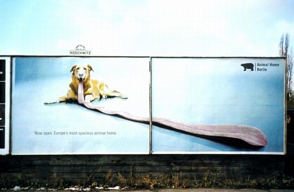 Animal Shelter Dog Print Ad By Scholz   Friends Pictures