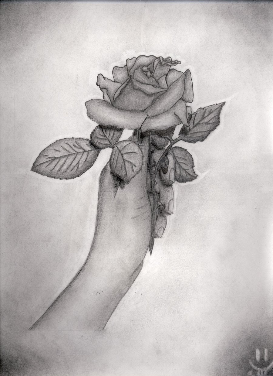 Hand Holding Rose By Midnightmares On Deviantart