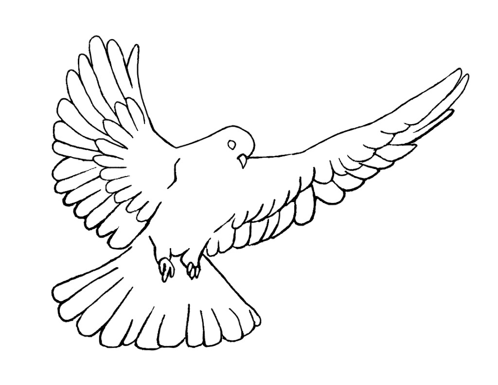 Holy Spirit Dove Clipart Holy Spirit Dove Pentecost Coloring Page