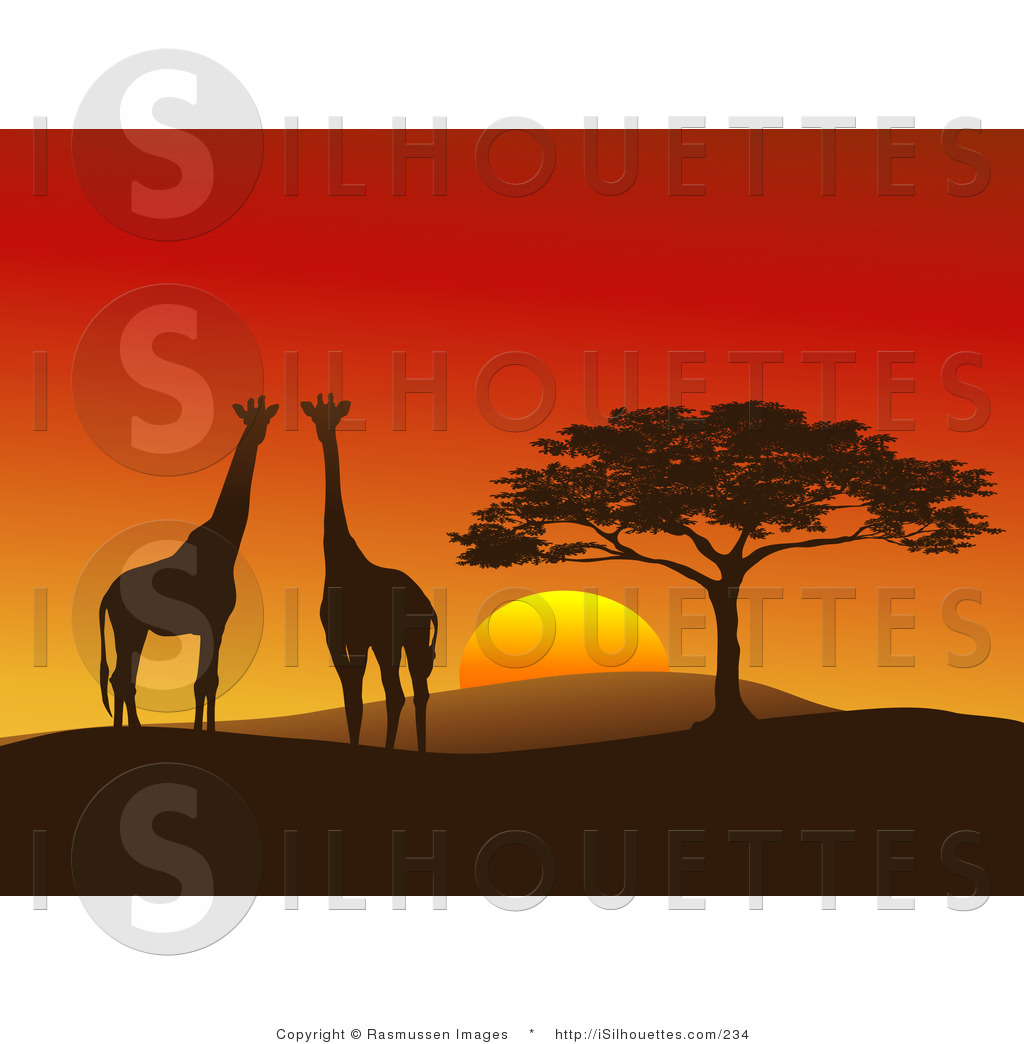 Larger Preview  Silhouette Clipart Of A Giraffe Pair Silhouetted On A