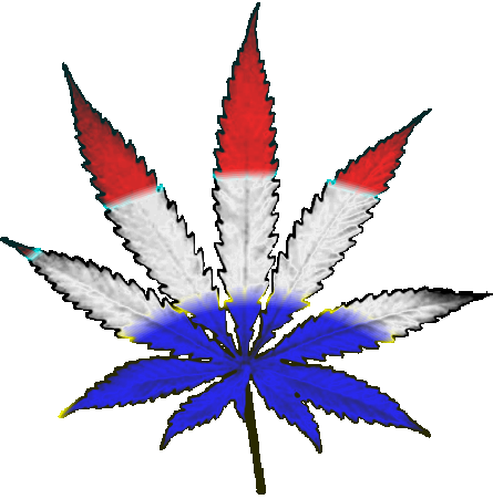 Marijuana Clip Art   Cliparts Co