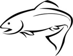 School Of Fish Clipart   Clipart Panda   Free Clipart Images