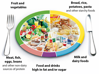 The Eatwell Plate Highlights The Different Types Of Food That Make Up