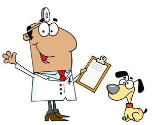 Veterinarian Clipart Image   Cartoon Veterinarian At Work Performing A