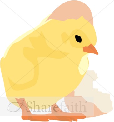 Baby Chick And Cracked Egg   Easter Egg Clipart