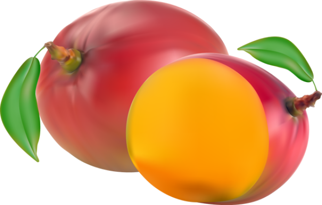 Clip Art Of A Mango Picture