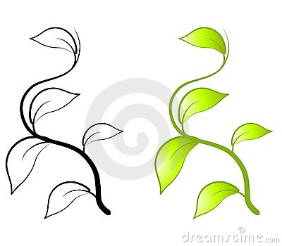 Featuring Simple Green Leaf And Vines In Color And Black And White