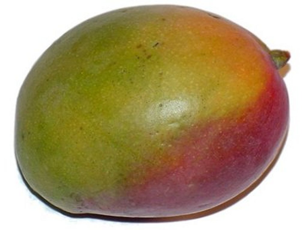Free Mango Clipart Pictures