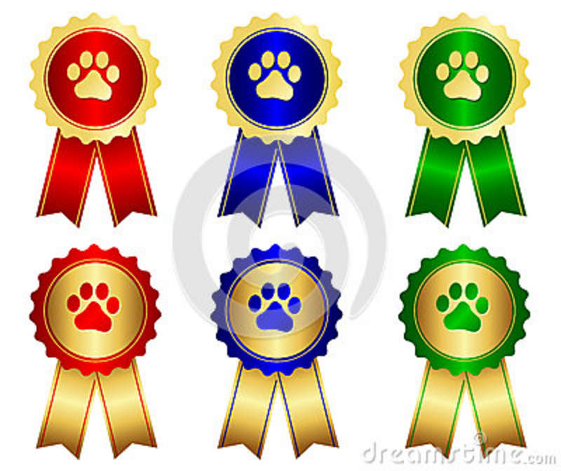 Free Stock Images  Dog Show Winner Award Ribbon  Image  30566479