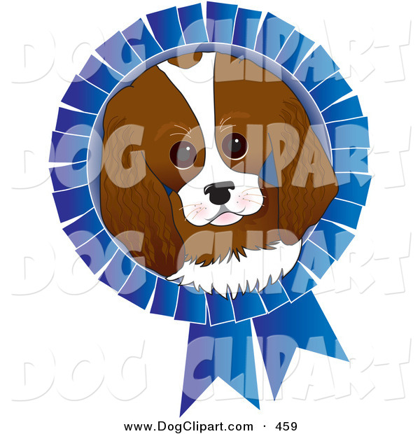  King Charles Spaniel Dog Face On A Blue Prize Ribbon For A Dog Show    