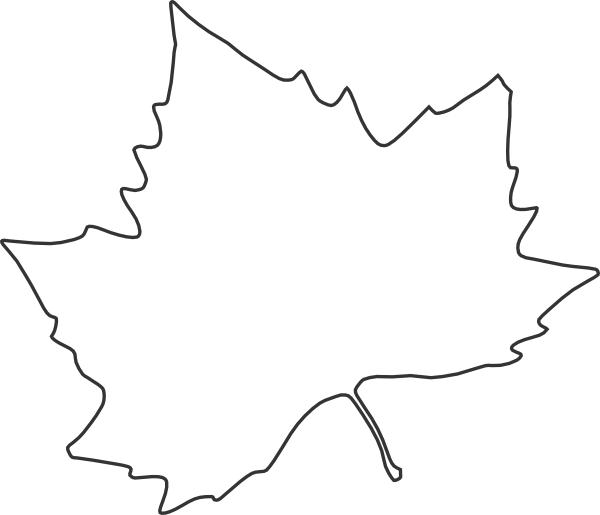 Leaf Outline Clip Art At Clker Com   Vector Clip Art Online Royalty