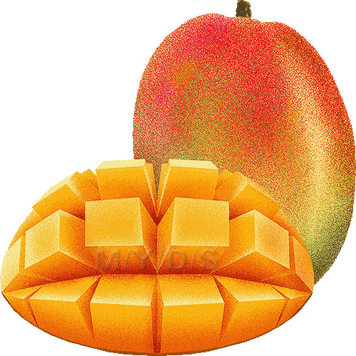 Mango Clipart Picture   Large