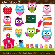 Owl Theme On Pinterest   Owl Theme Classroom Owl Classroom And Owl