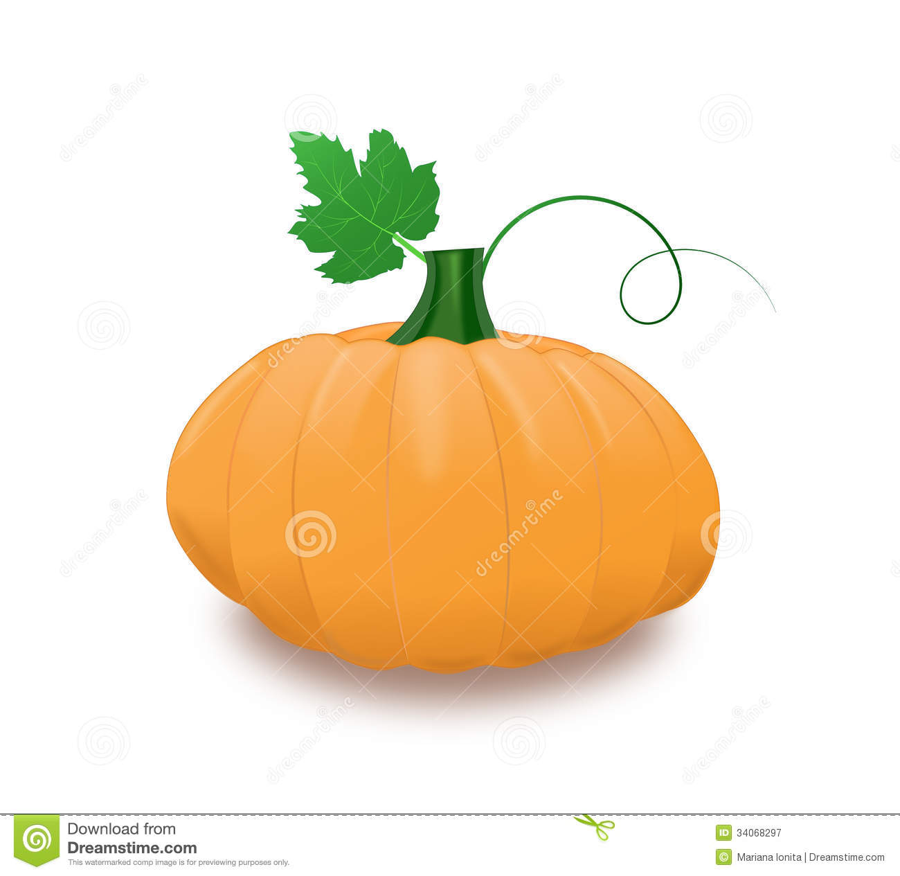 Pumpkin With Leaf And Curl Royalty Free Stock Photography   Image