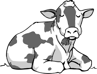 Cow Sitting Chewing   Http   Www Wpclipart Com Cartoon Animals Cow Cow