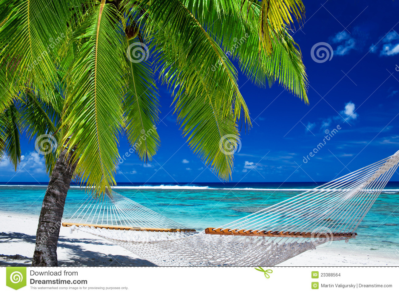 Empty Hammock Between Palm Trees On Tropical Beach
