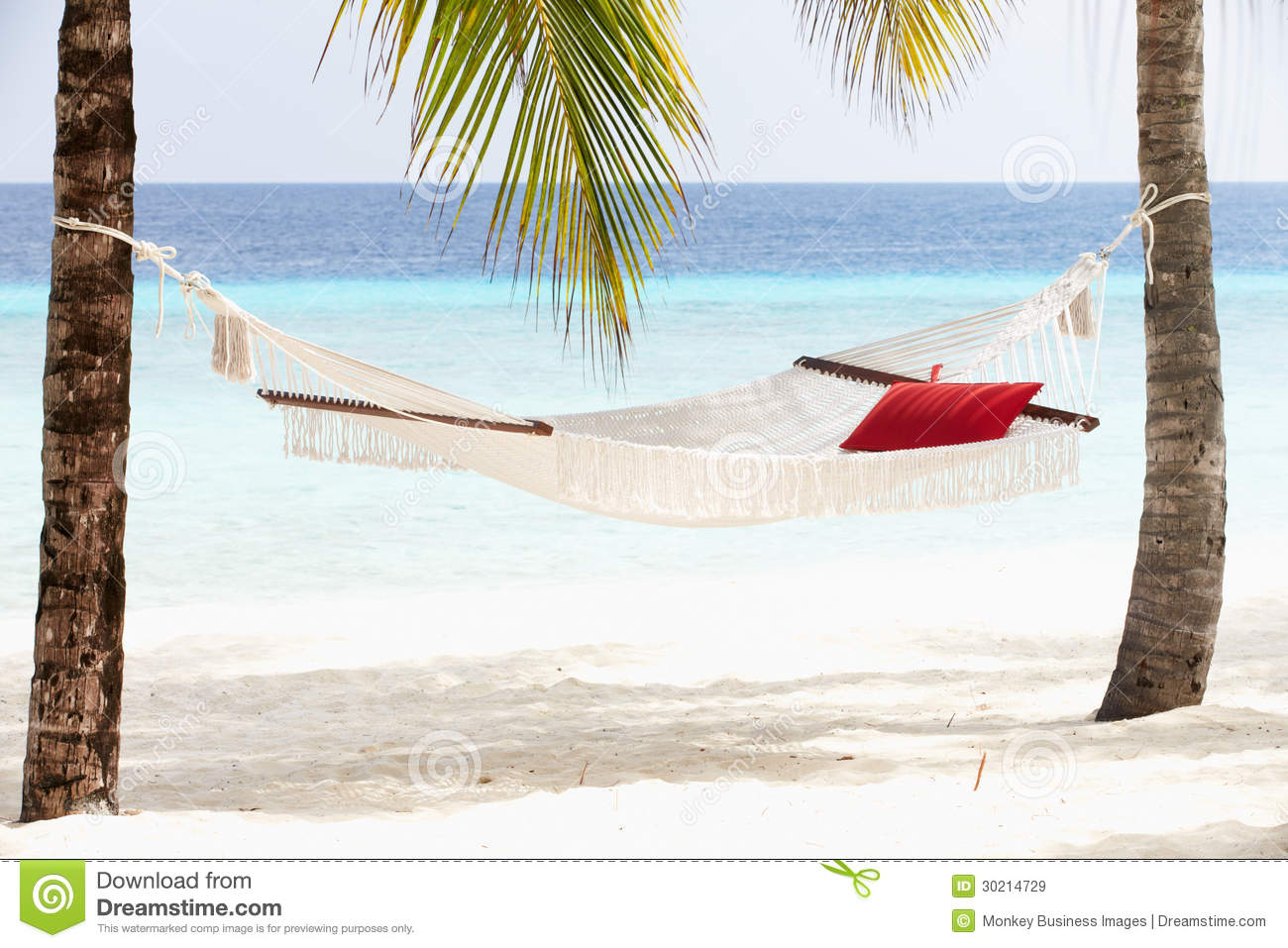 Empty Hammock Between Palm Trees Royalty Free Stock Images   Image