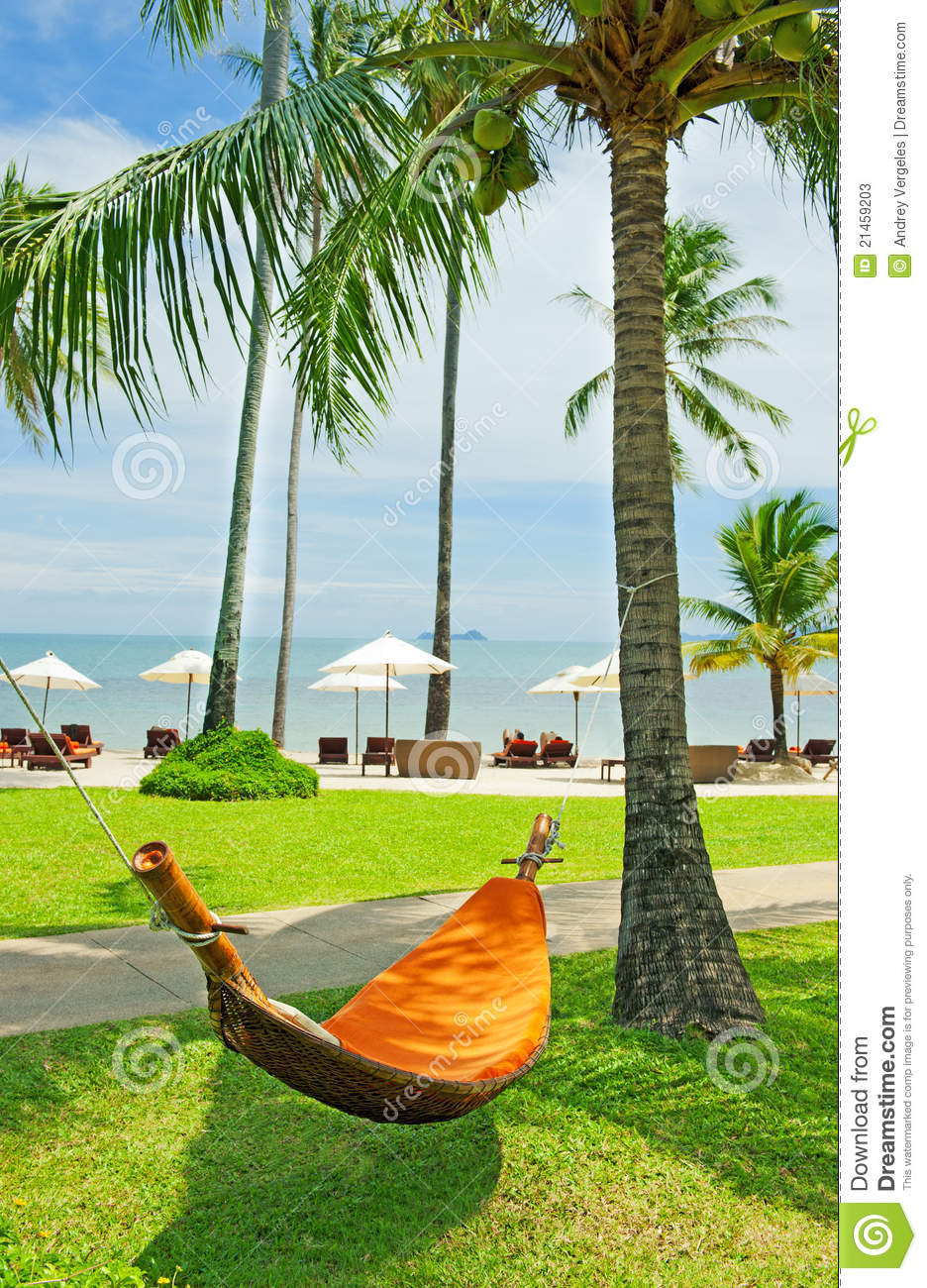 Empty Hammock Between Palm Trees Stock Photos   Image  21459203