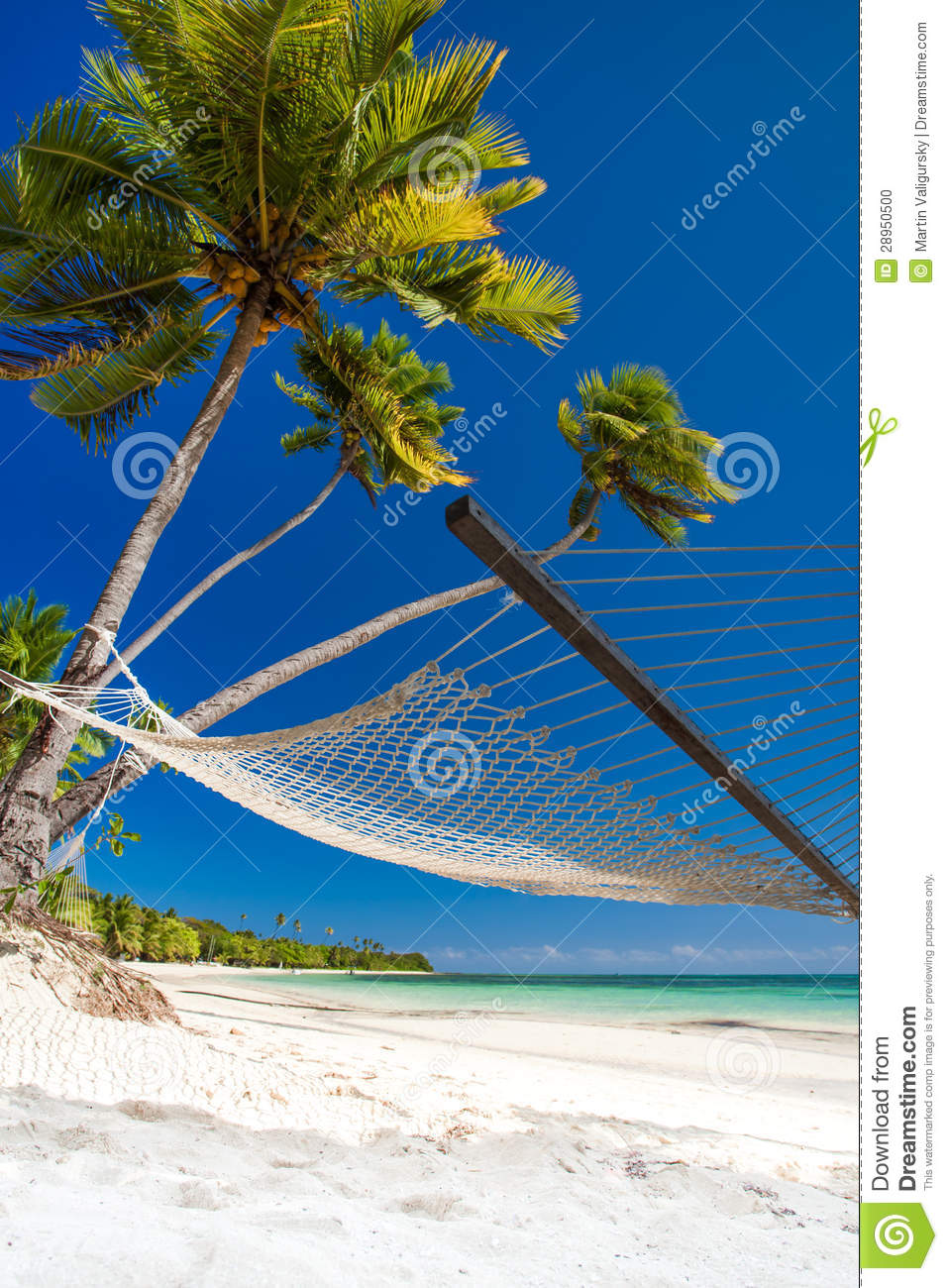 Empty Hammock Under Palm Trees And Details Of Sand Stock Photo   Image