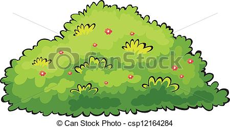Illustration Of A Green Bush On A White    Csp12164284   Search Clip