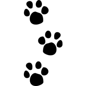 Image Detail For  Paw Prints