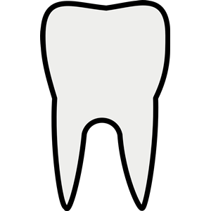 There Is 52 Tooth Outline Free Cliparts All Used For Free