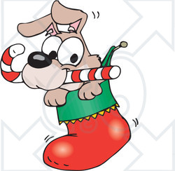 Of A Cute Puppy With A Candy Cane Peeking Out Of A Christmas Stocking
