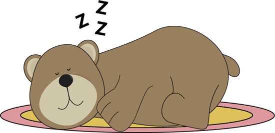 Bear Sleeping On A Rug   Adorable Brown Bear Sleeping On A Rug And