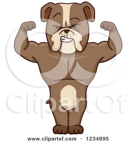 Clipart Of A Strong Bulldog Flexing And Standing   Royalty Free Vector