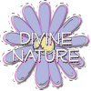 Divine Nature Flower Blue Lds Yw Young Women Value 402x400