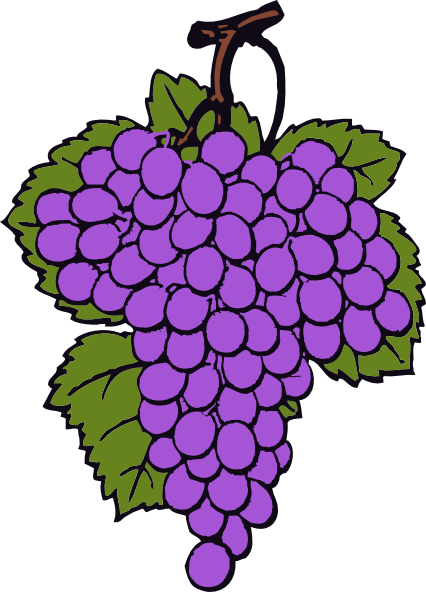 Grape Cluster 2 Clip Art At Clker Com   Vector Clip Art Online