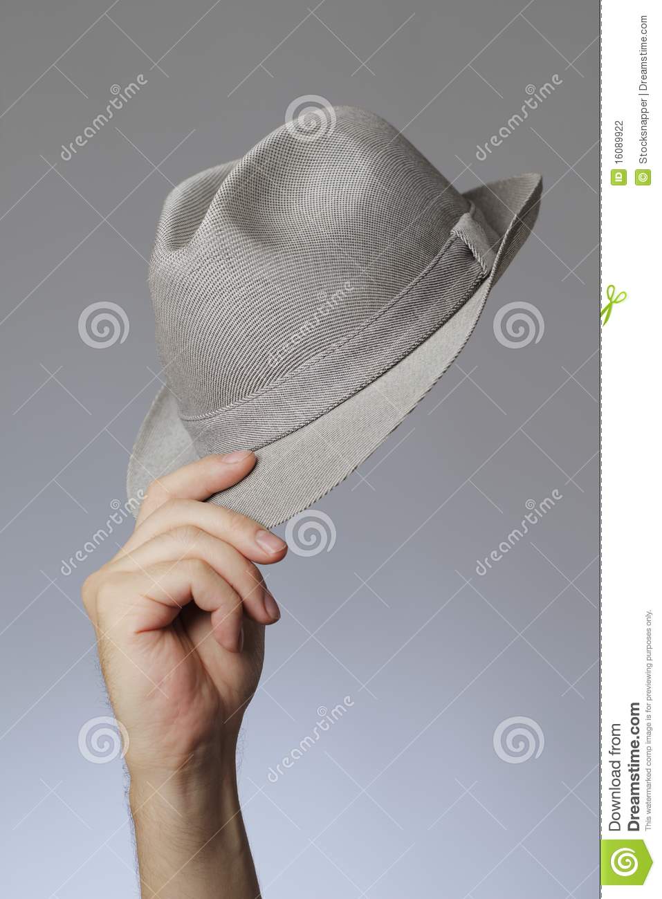 Hats Off Stock Photography   Image  16089922
