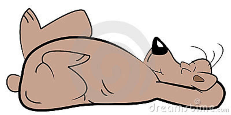 Hibernating Bear Clip Art Sleeping Bear Lying On His