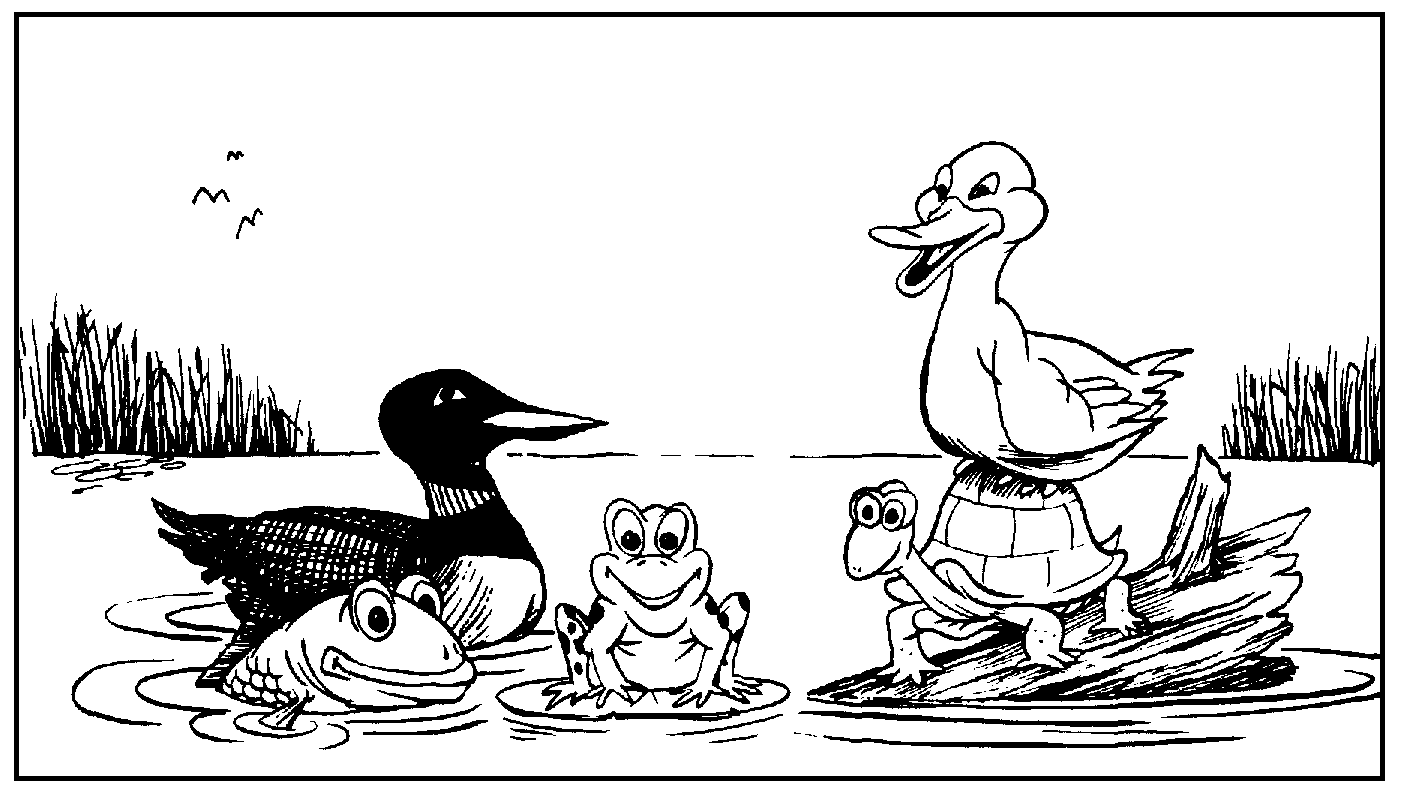 Pond Animals Cartoon