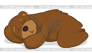 Sleeping Bear   Vector Image