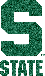 Michigan State Spartans Ncaa Logo Glitter