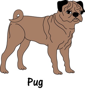 Pug Clipart Image   Pug Dog