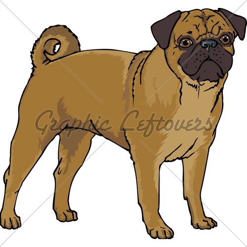 Pug Clipart Picture